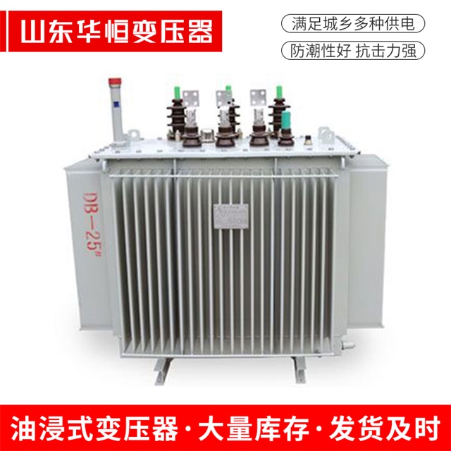 SZ11-10000/35隆林隆林隆林电力变压器
