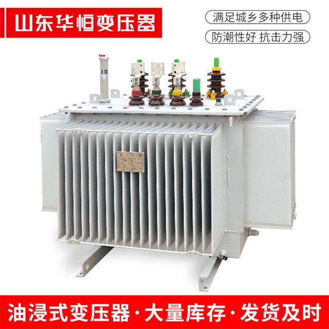 S13-10000/35隆林隆林隆林电力变压器